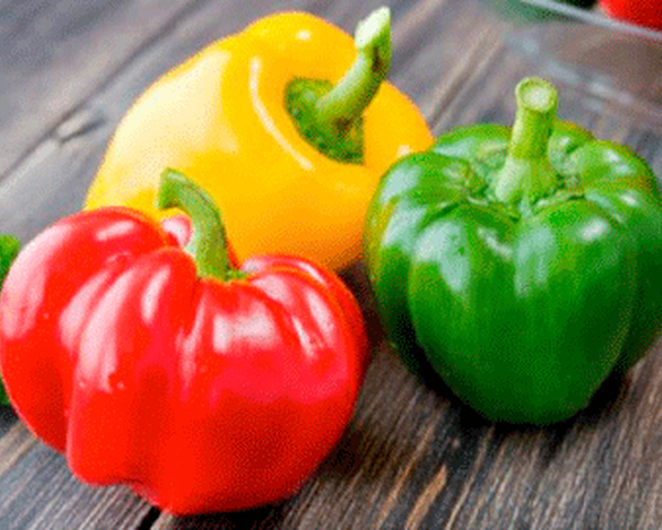 Перець болгарський