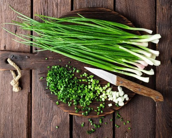 Цибуля зелена